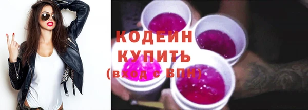 шишки Богородицк